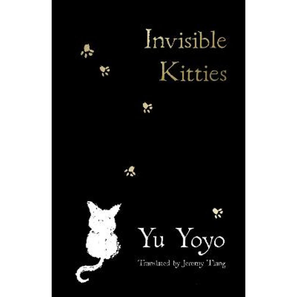 Invisible Kitties (Paperback) - Yu Yoyo